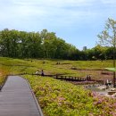 철쭉동산 Daum카페
