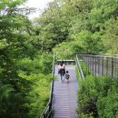 무장애숲 이미지