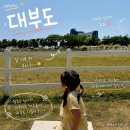 베르아델승마클럽 | 대부도 아이랑 당일치기 코스｜베르아델캠핑장 승마클럽·한옥카페 카르폰