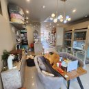 소망애견미용실 이미지