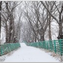 예당목장 이미지