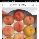 강가네농장 이미지