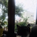 종달스테이 민박 이미지