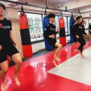 타이혼스포츠아카데미 이미지