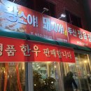 황소야돼지야 이미지