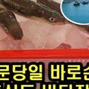 장어통발수산