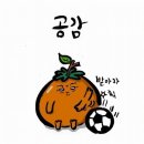 남다른머리빨 이미지