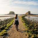 입파도 | 서울 근교 당일치기 섬여행, 화성 국화도-입파도 트레킹 완전정복