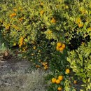 느링느링스테이 이미지