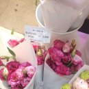 스노우폭스플라워강남 이미지