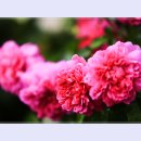 곡성-075 티스토리