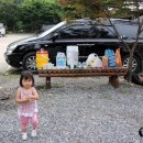 맑은물소리캠핑장 이미지