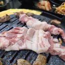 꼴통갈매기