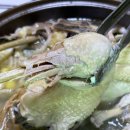 산속에토종닭 | 전북 김제 맛집 [산속가든] 여름 보양식 토종닭 백숙 방문 후기!