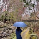 한국산소 | 후쿠오카ㅣ산소텐스이 노천탕 온천별 소개와 리얼후기