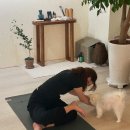 요가모아나