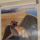 서산버드랜드 전시관(2층) 이미지