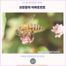 하일농장 | 카메론 하일렌즈 호텔 추천 : 브린창의 아파트먼트에서의 여행 후기