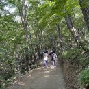 (사)산림문화콘텐츠연구소
