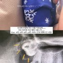 «1月 정리!» 얘들아~~♡ 올해도 건강해라