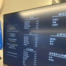 멍지트 | 신림 애견카페 멍지트 야외반려견놀이터