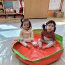 하얀손비트 이미지