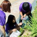 관호초등학교 이미지