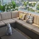 이터널블루 이미지