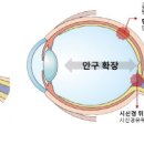 고도