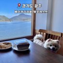 경기도 광주 엘포레스트 카페 애견동반