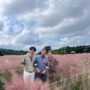 사려니하우스 | 제주 동쪽 사려니숲 근처 핑크뮬리 &#39;카페 글렌코&#39;