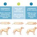 임재성동물의료센터 이미지