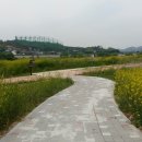 금산 와룡지구 2 이미지