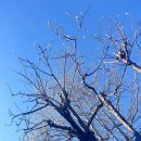 The Heaven 이미지