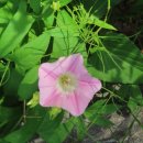 연탄시대 이미지