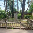 동강수산장어 이미지