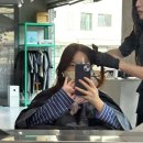 시리살롱 | 운정미용실 톤다운 염색 후기 그레이큐브 운정 '송이' 쌤 완죠니 추천