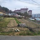 주영부동산중개사무소 이미지