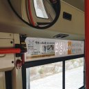 김포강아지고양이 멍냥아구래구래 이미지