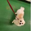 재송동물병원 이미지