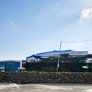 해오르기 민박 이미지