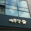 인천 청라동 강아지분양 예뿌댕 가격 위치