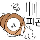스테프핫도그 이미지