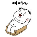 서심세꼬시
