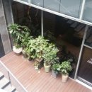 강남-046 이미지