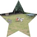 비타민하우스J&R | [제주도] 잔디 마당있는 애견동반펜션...⭐ ｜ 제주 굿데이 하우스, 덕구룸 (유기견 할인O) ✧₊˚