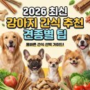 트릿츄잇 네이버블로그