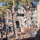 서초경찰서 화장실 | 방배역 카페 코지모리- 경찰서 건물이 카페가 되다