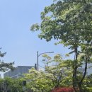 만랩커피 평촌W에이스타워점 이미지