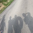 해뜨는 숲속 이미지